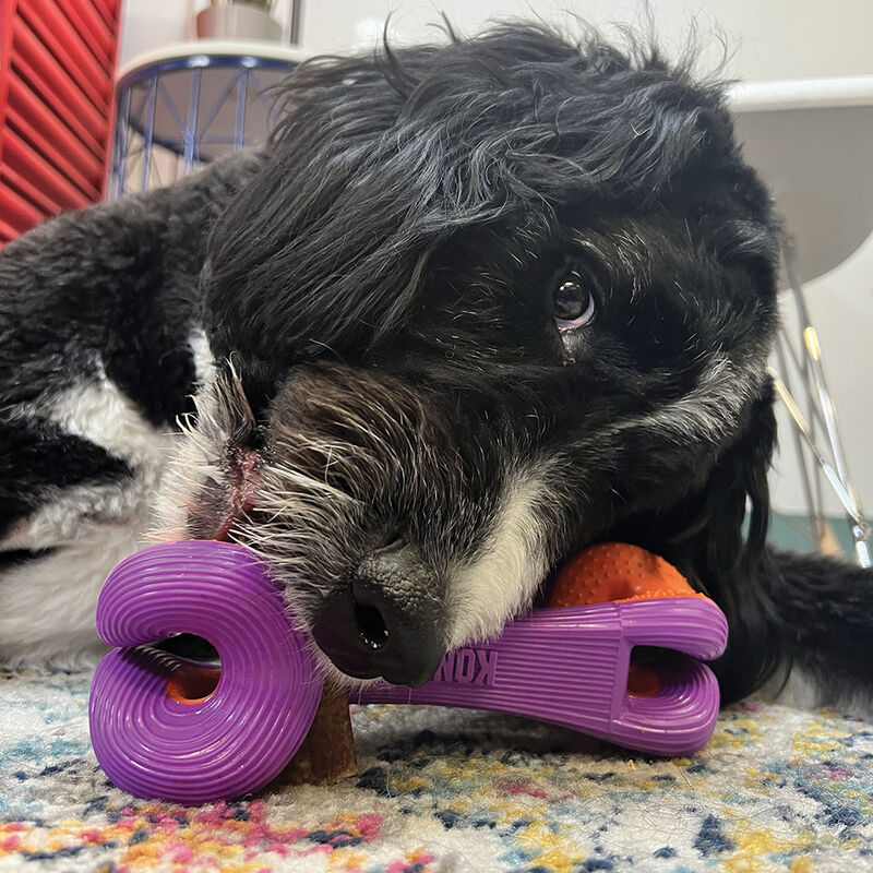 Kong Rerun Whoosh Bone