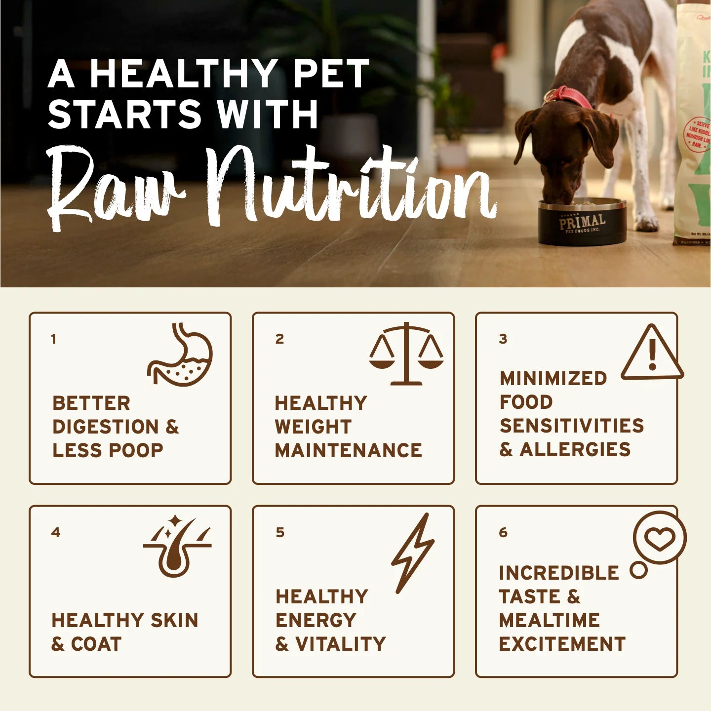 Primal Freeze-Dried Raw Dog Food - Lamb Recipe