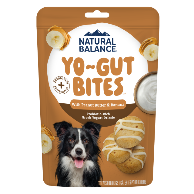 Natural Balance Yo-Gut Bites with Peanut Butter & Banana Dog Treats