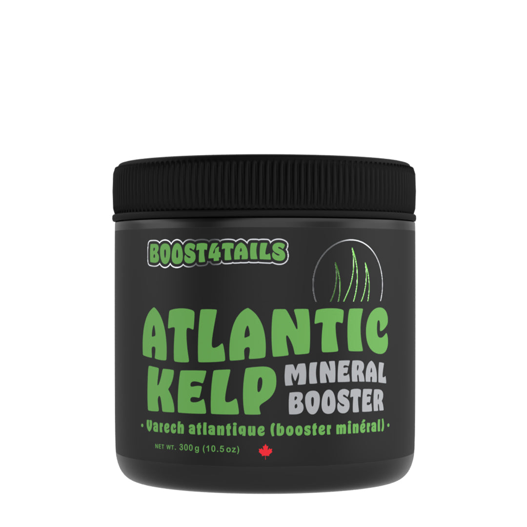 Boost 4 Tails Atlantic Kelp Supplement for Dogs