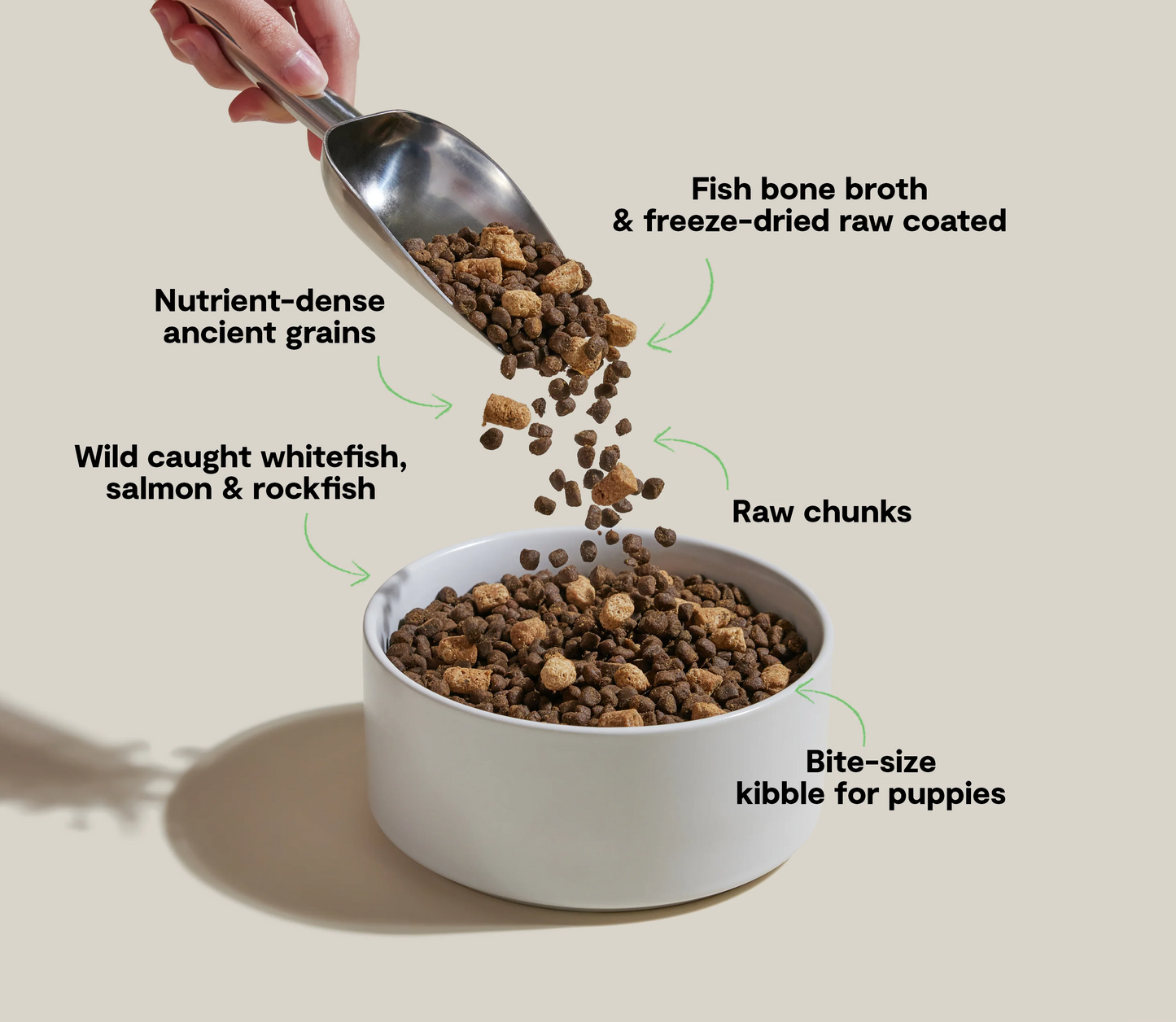 Open Farm RawMix Ancient Grains Puppy Dog Food