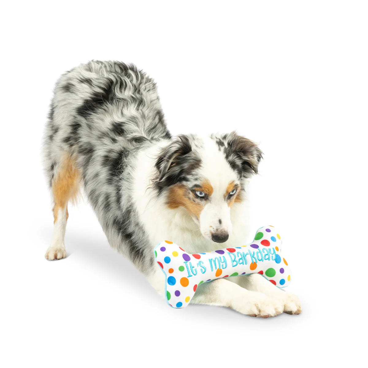 It's My Barkday Bone Dog Toy