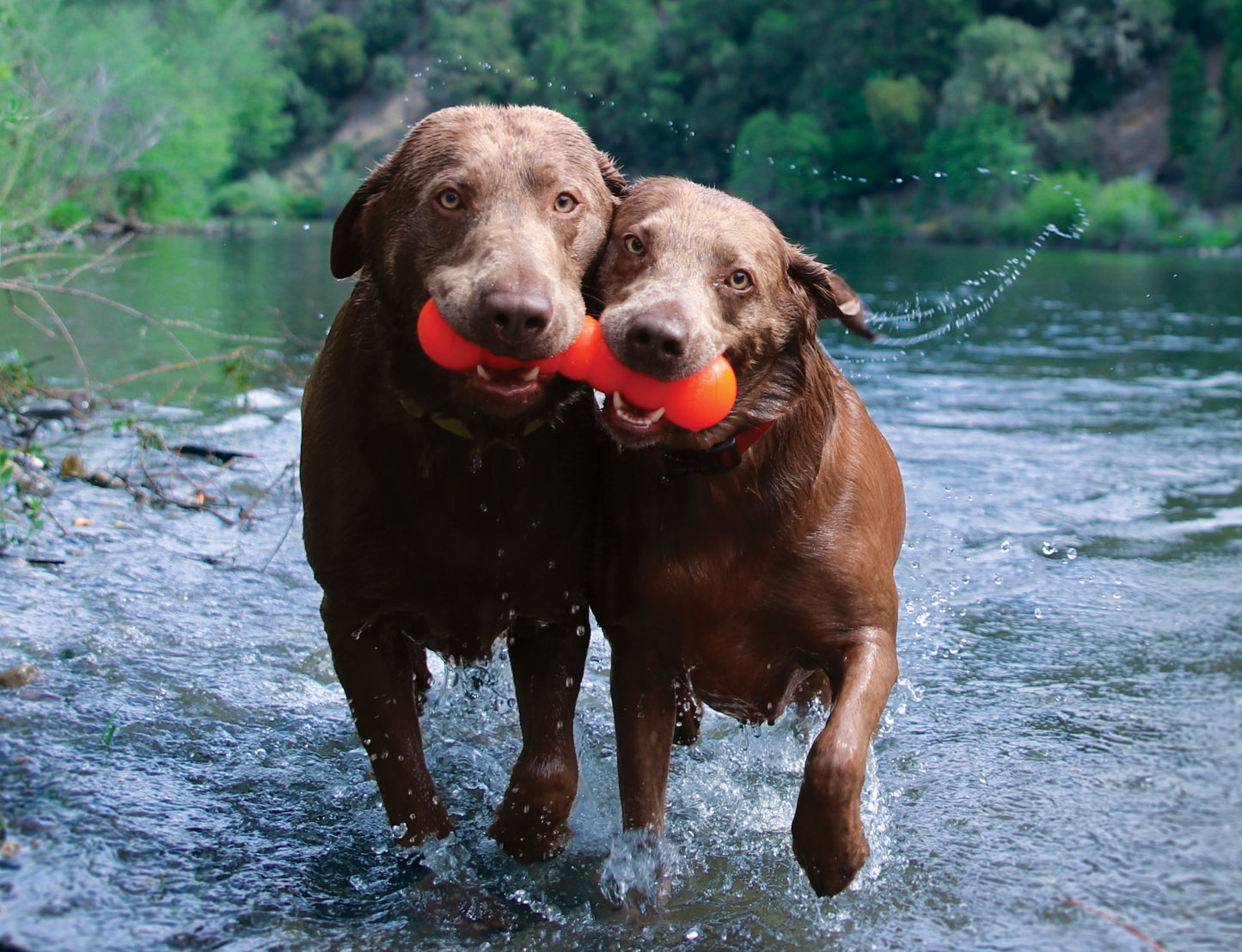 RuffDawg Dawg-Buster Dog Toy