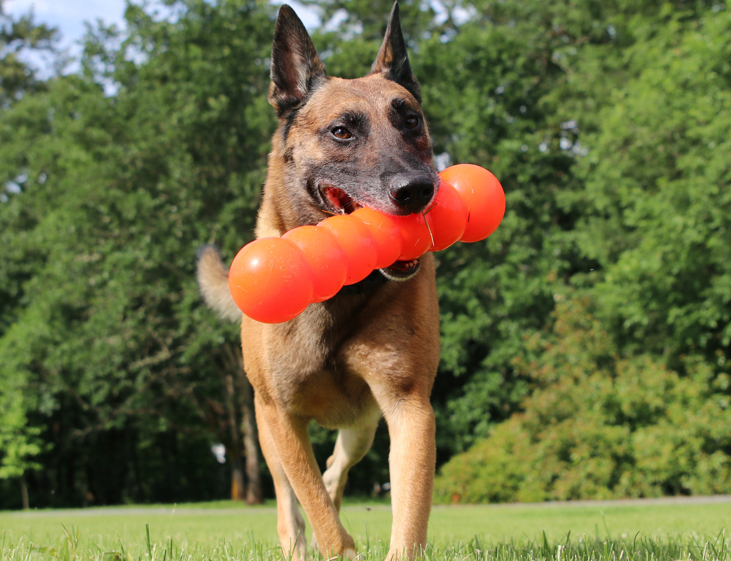 RuffDawg Dawg-Buster Dog Toy