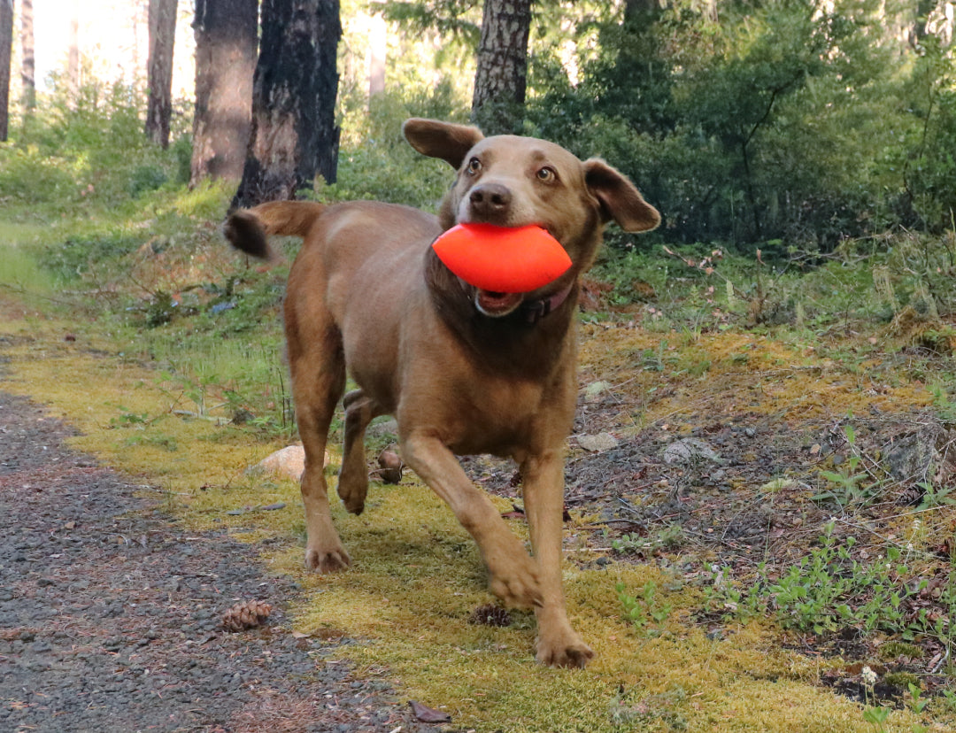 RuffDawg Football Dog Toy