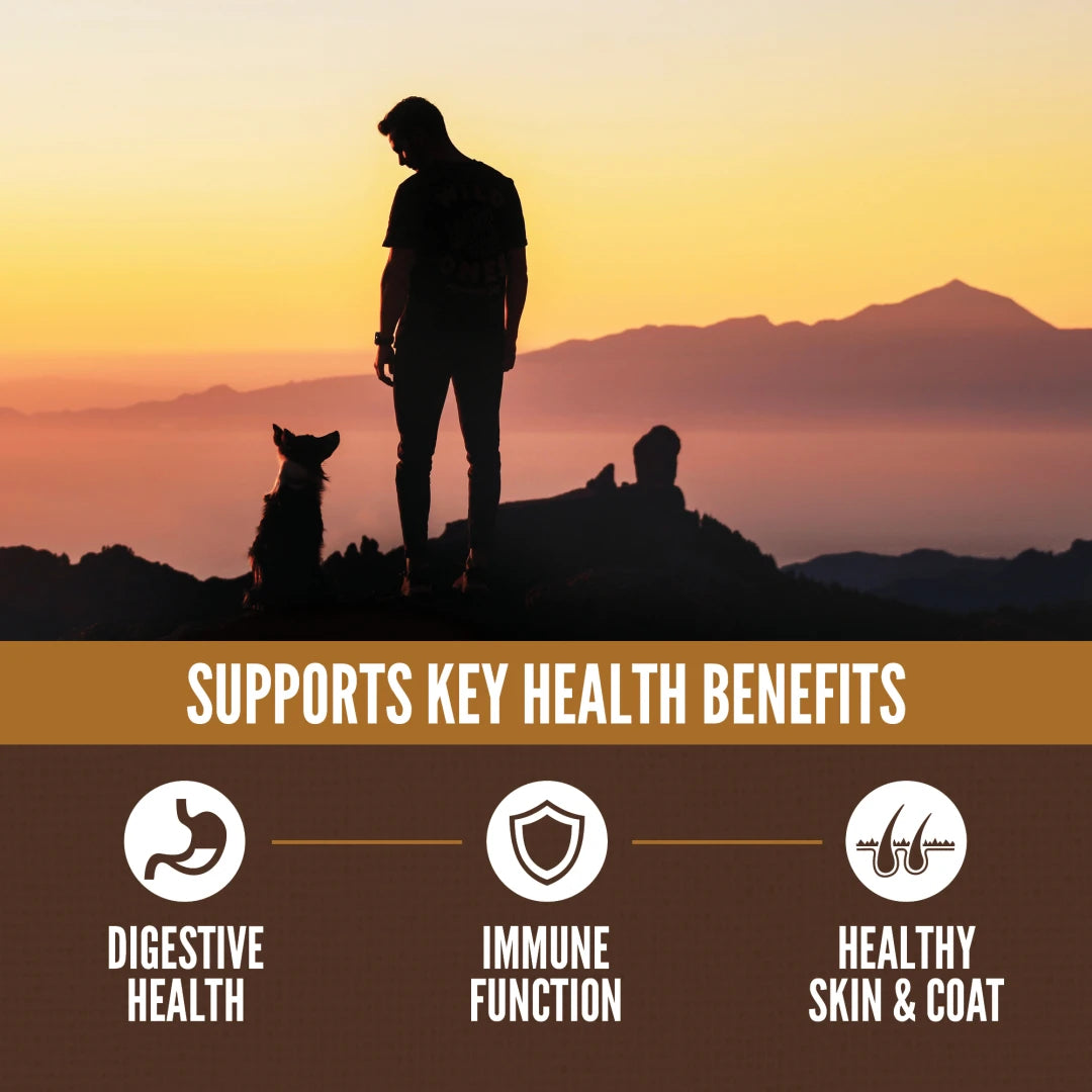 ORIJEN Amazing Grains Regional Red Dog Food