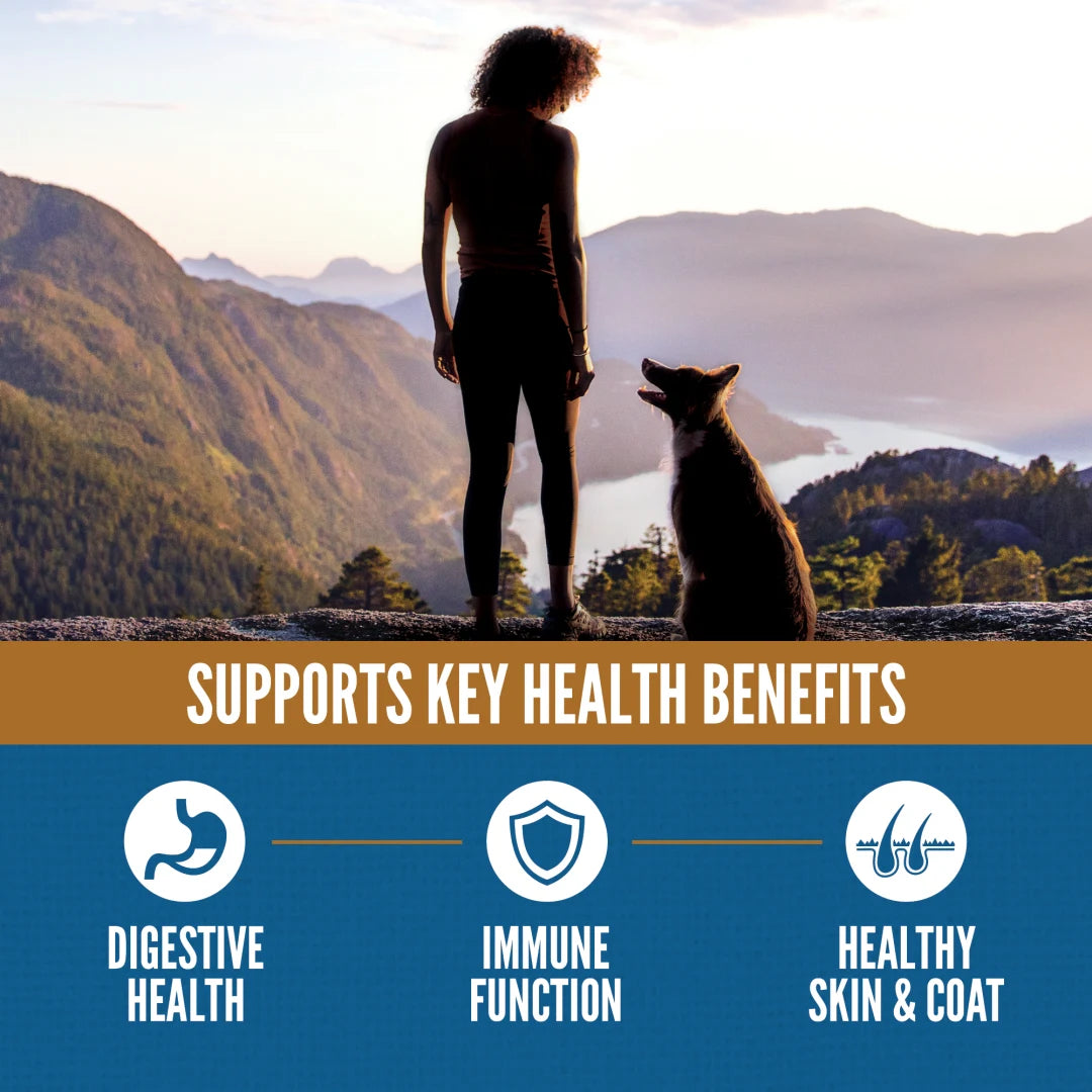 ORIJEN Amazing Grains Original Dog Food