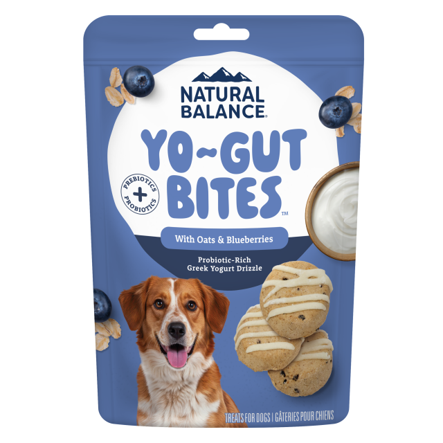 Natural Balance Yo-Gut Bites with Oats & Blueberries Dog Treats