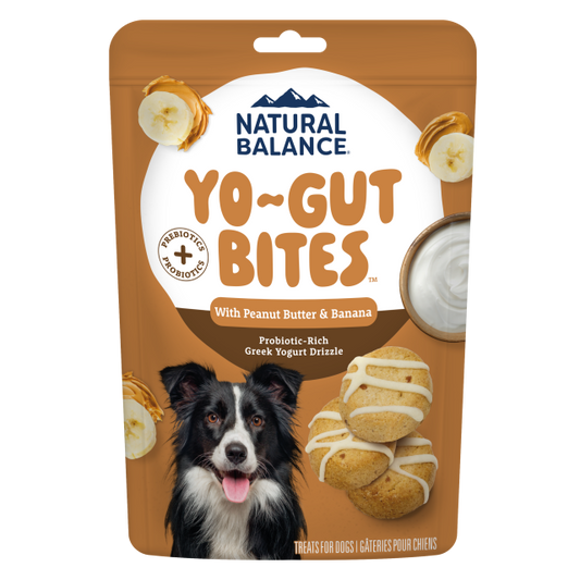 Natural Balance Yo-Gut Bites with Peanut Butter & Banana Dog Treats