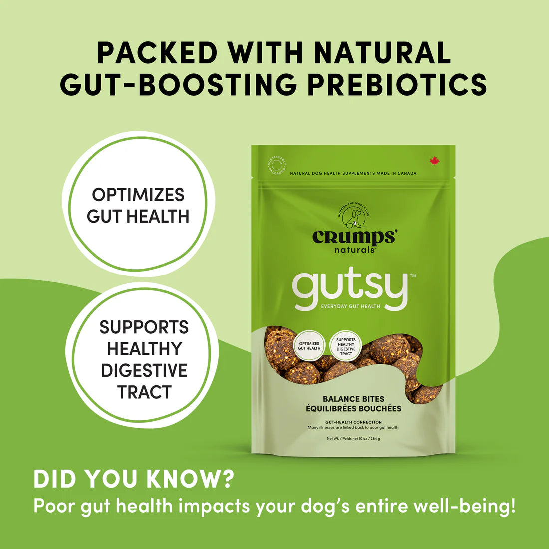 Crumps Gutsy Balance Bites Dog Treats