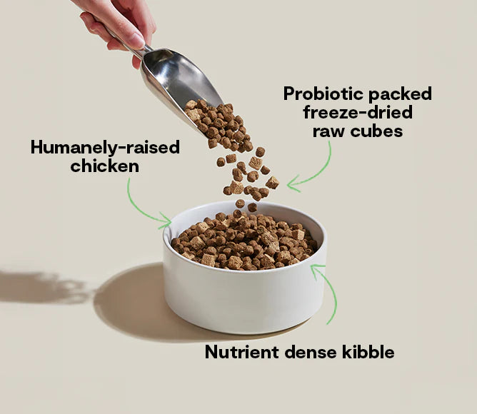 GoodGut Harvest Chicken Dog Food