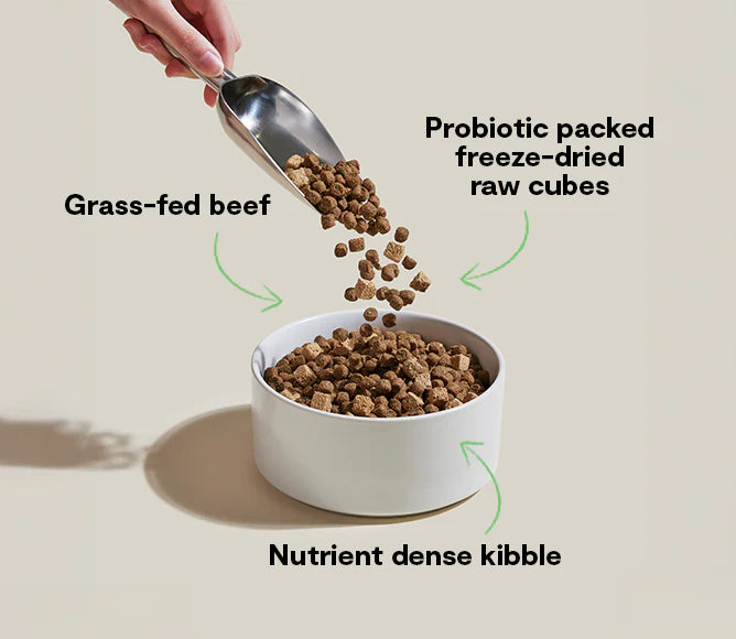 GoodGut Grass-Fed Beef Dog Food