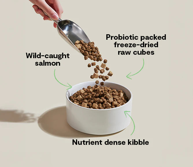 Open Farm GoodGut Wild-Caught Salmon Dog Food
