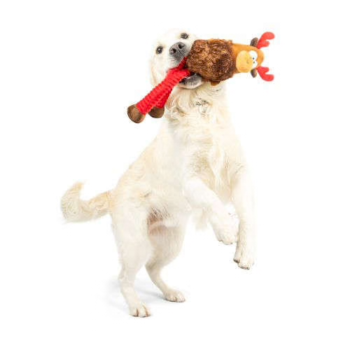 Lankies Monty Moose Dog Toy