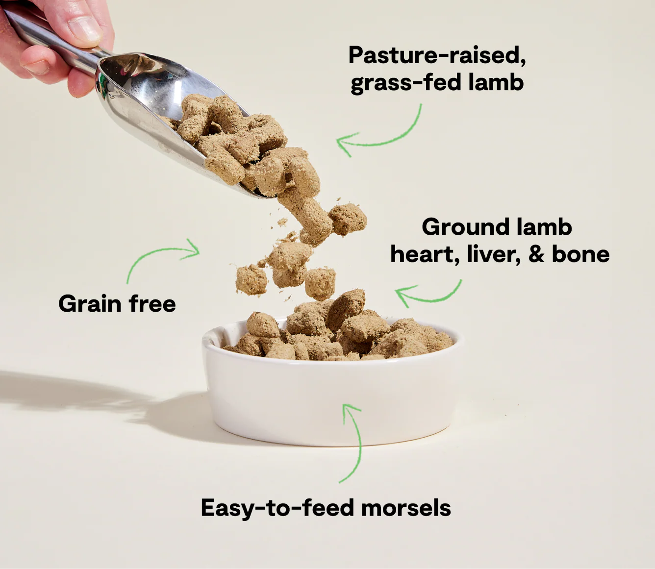 Open Farm Pasture-Raised Lamb Freeze Dried Raw Morsels for Dogs
