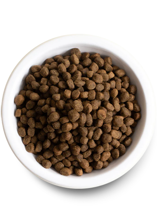 Open Farm Grass-Fed Beef Grain-Free Dog Food