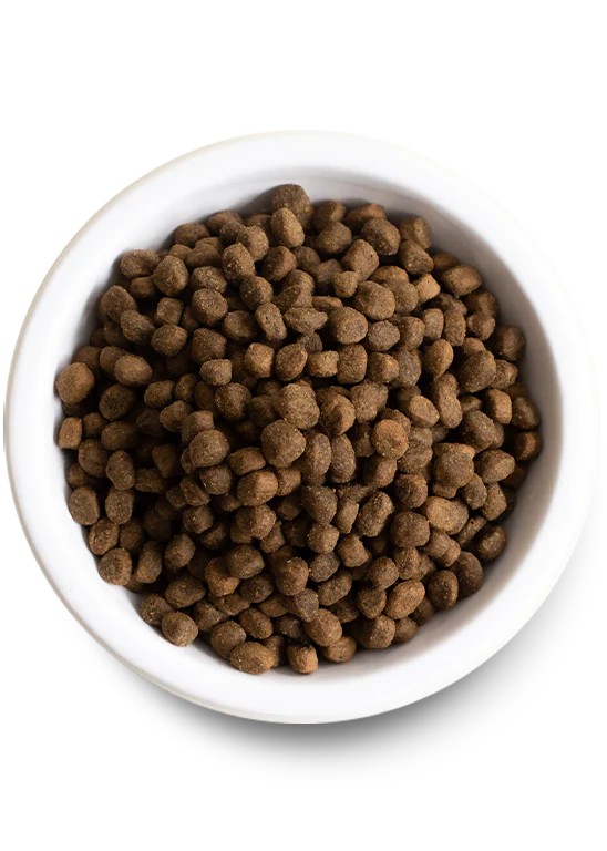 Open Farm Grass-Fed Beef & Ancient Grains Dog Food