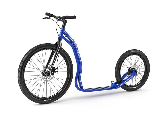 Yedoo Trexx Disc Kick Scooter