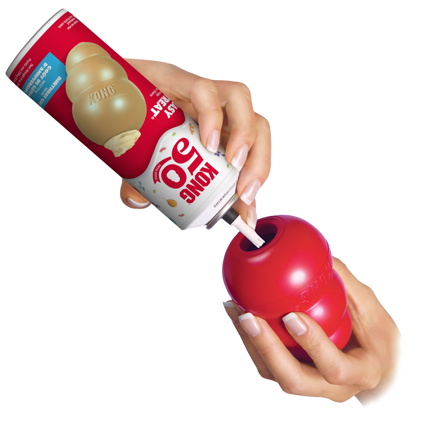 KONG Easy Treat® Birthday Cake Dog Treat