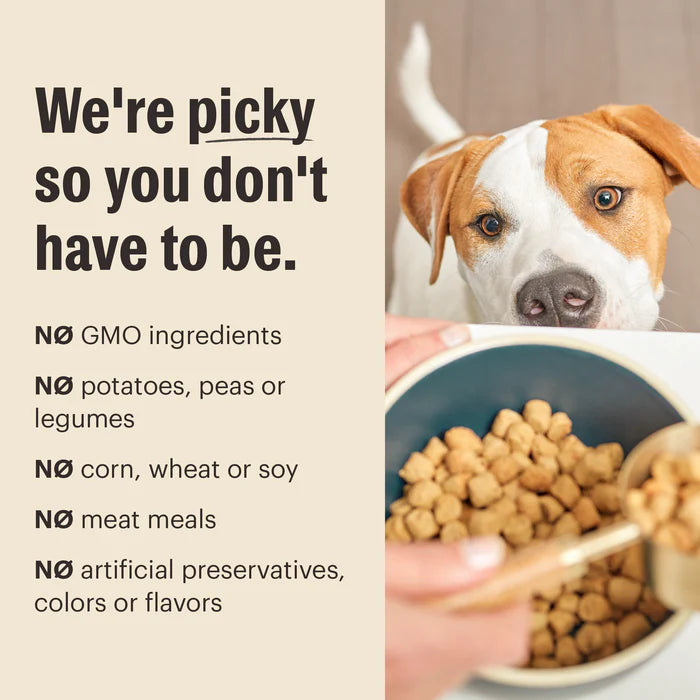 The Honest Kitchen Whole Grain Chicken Whole Food Clusters Dog Food