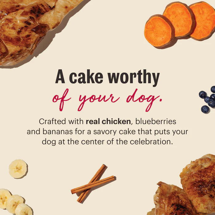 The Honest Kitchen Birthday Cake Mix made with Chicken & Blueberries for Dogs