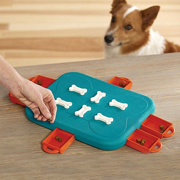 Nina Ottosson Casino Dog Puzzle