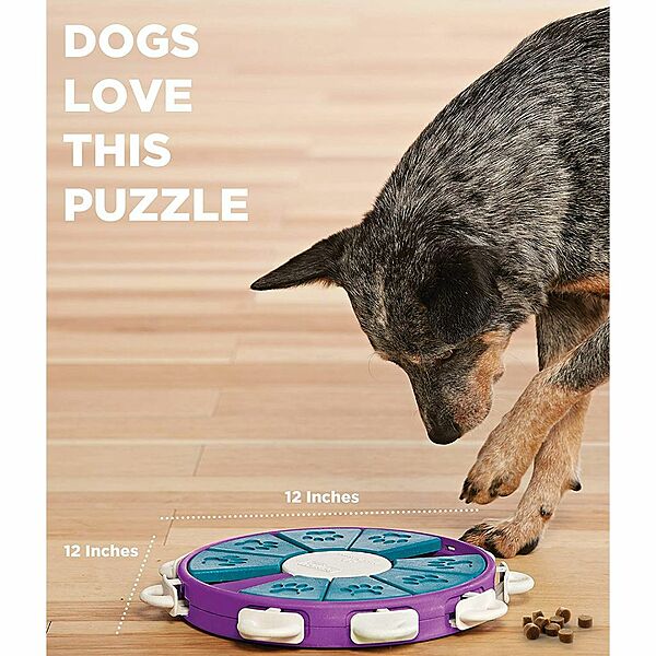 Nina Ottosson Twister Dog Puzzle