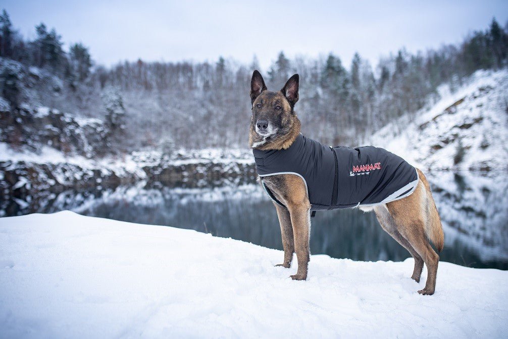 Manmat Dog Thermo Coat - Balto Sports Ltd.