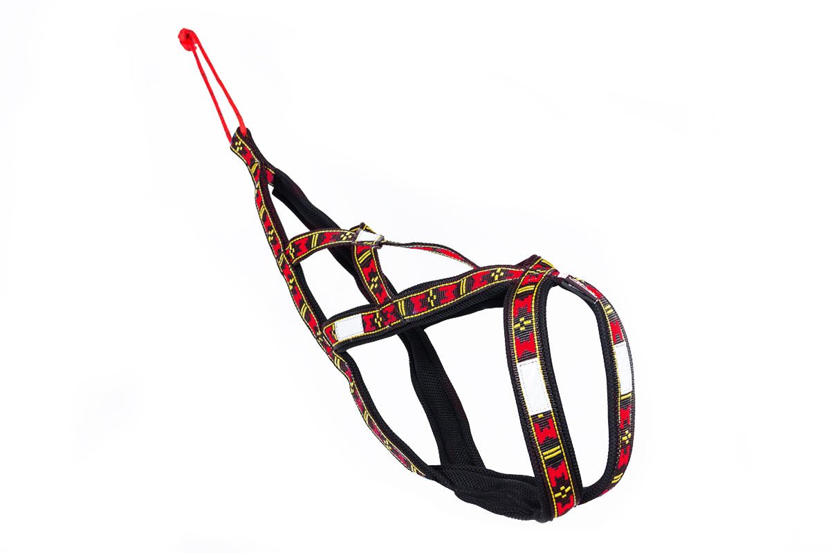 Manmat Sled/Canicross Harness - Balto Sports Ltd.