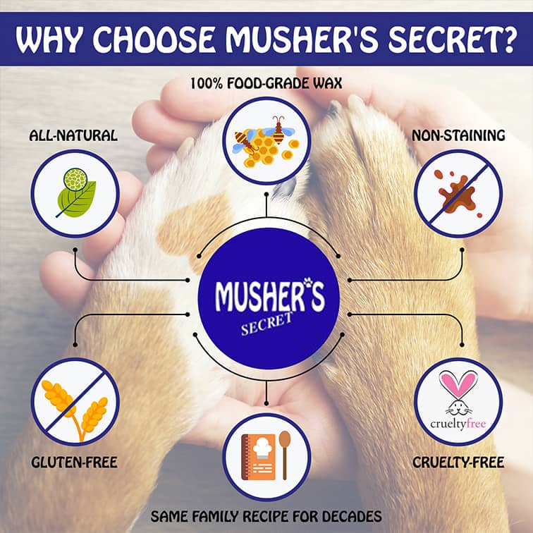 Musher's Secret Dog Paw Wax - Balto Sports Ltd.