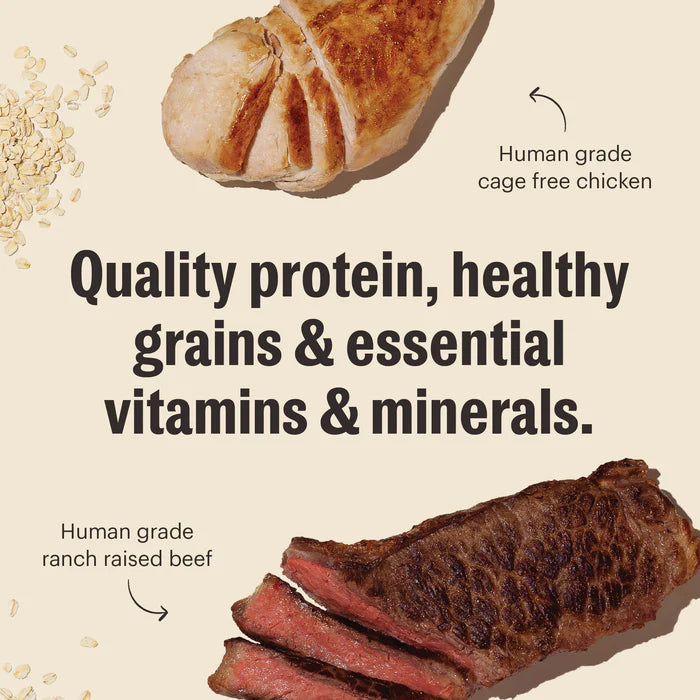 The Honest Kitchen Whole Grain Beef & Chicken Essential Clusters Dog Food