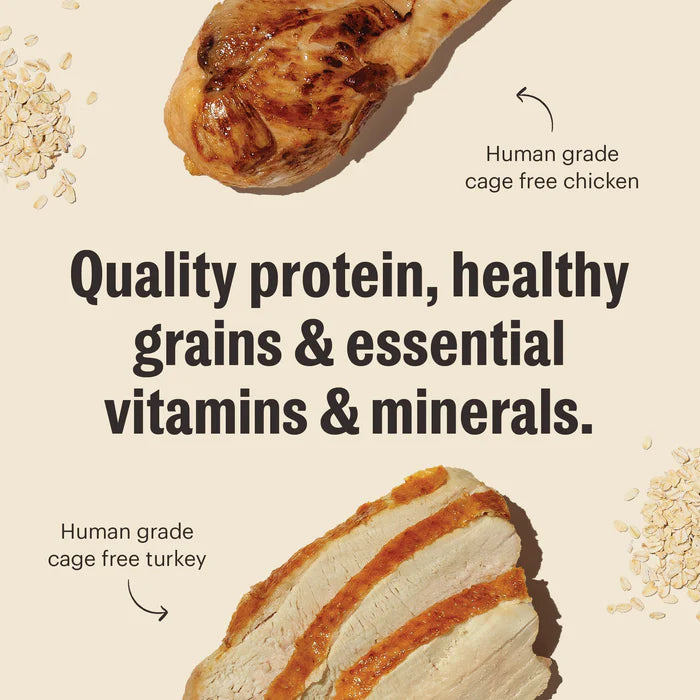 The Honest Kitchen Whole Grain Turkey & Chicken Essential Clusters Dog Food
