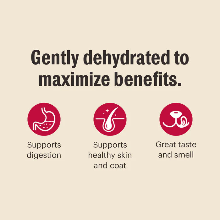 The Honest Kitchen Wholemade Whole Grain Turkey Dehydrated Dog Food