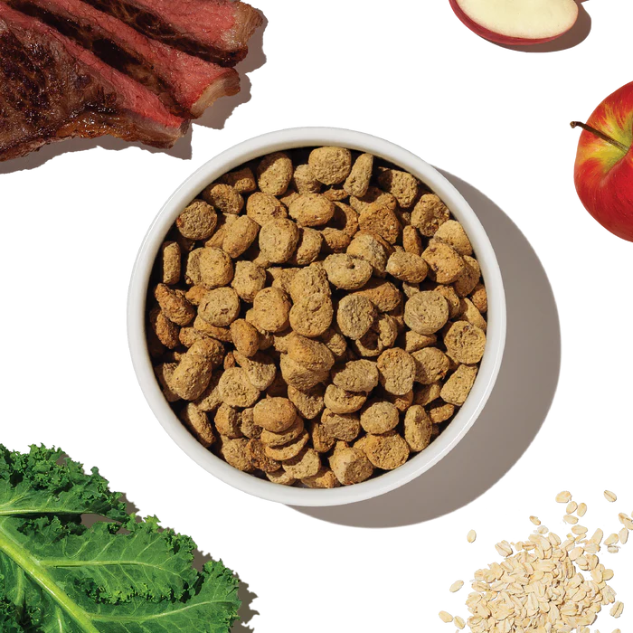 The Honest Kitchen Whole Grain Beef & Oat Whole Food Clusters Dog Food